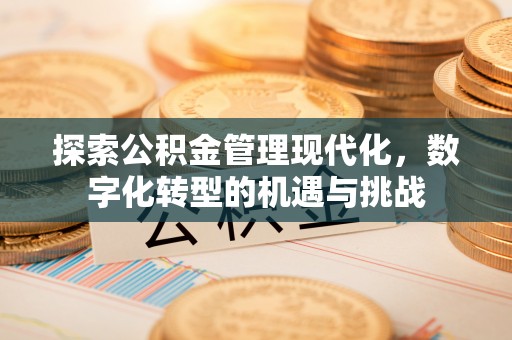 两当探索公积金管理现代化，数字化转型的机遇与挑战