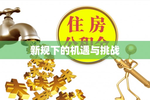 两当新规下的机遇与挑战