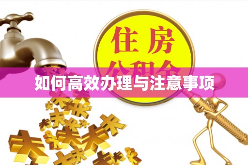 两当如何高效办理与注意事项