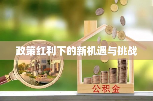 两当政策红利下的新机遇与挑战