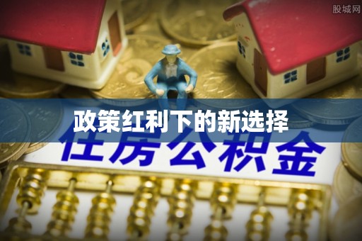 两当政策红利下的新选择