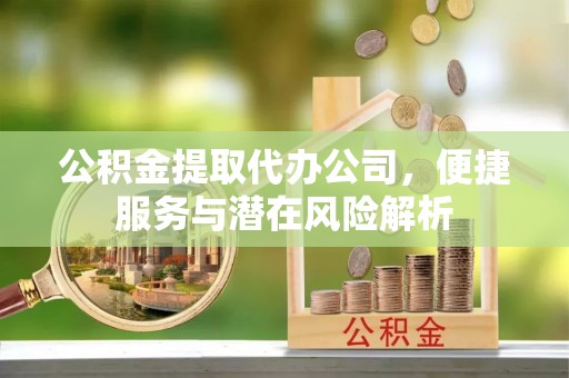 两当公积金提取代办公司，便捷服务与潜在风险解析