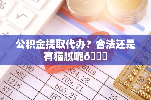 两当公积金提取代办？合法还是有猫腻呢😏