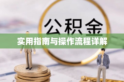 两当实用指南与操作流程详解