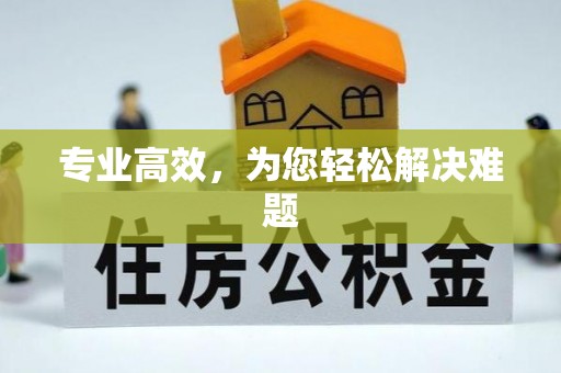 两当专业高效，为您轻松解决难题