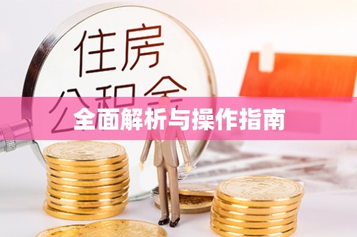 两当全面解析与操作指南