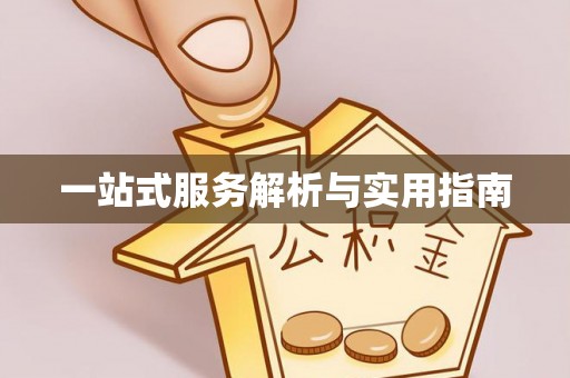 两当一站式服务解析与实用指南