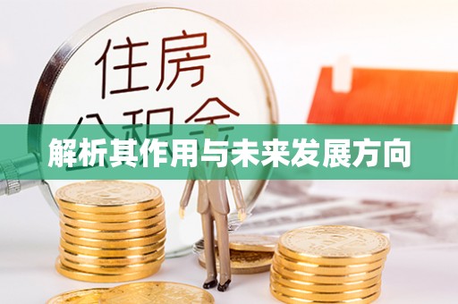 两当解析其作用与未来发展方向