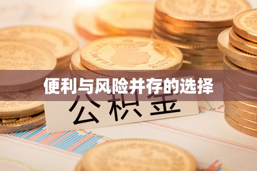 两当便利与风险并存的选择